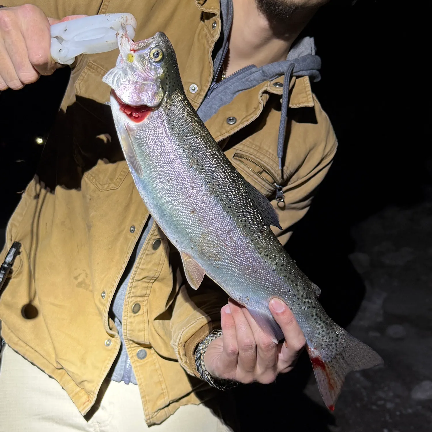 Cutbow caught on Fishbrain