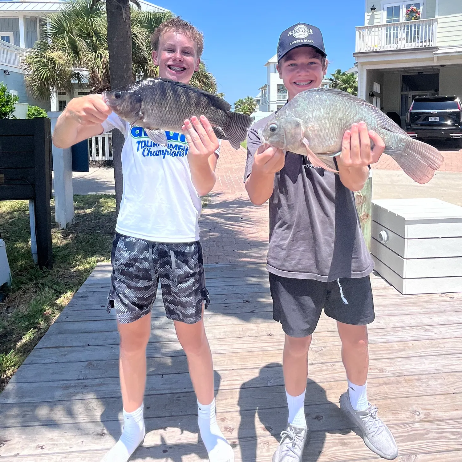 recently logged catches