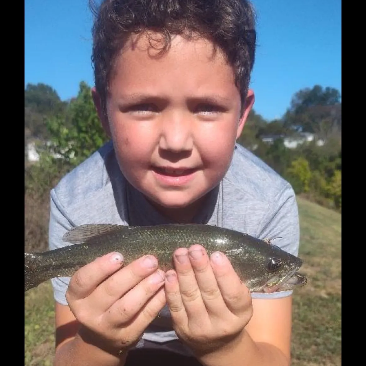 The most recent Largemouth bass catches on Fishbrain