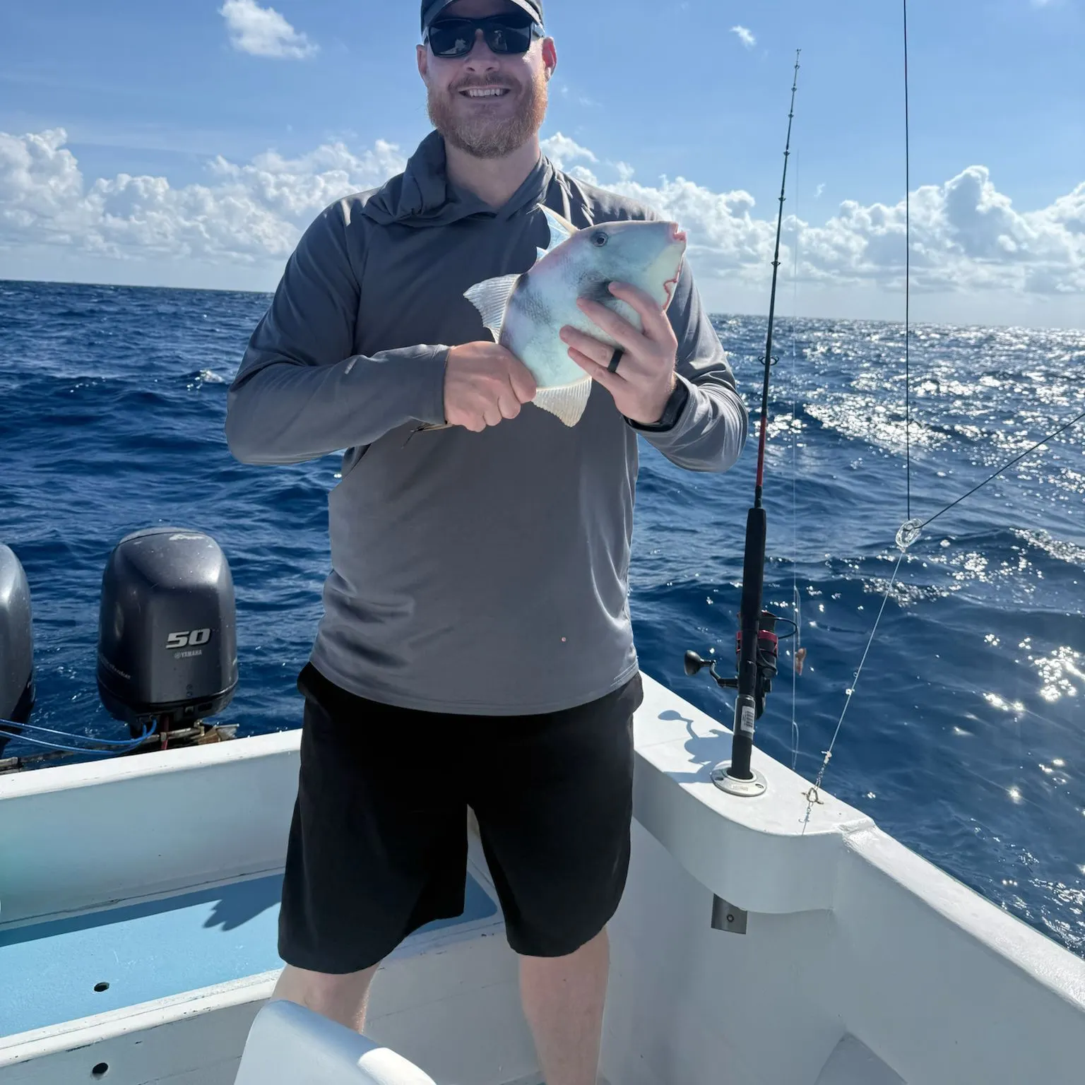 The most recent Grey triggerfish catches on Fishbrain