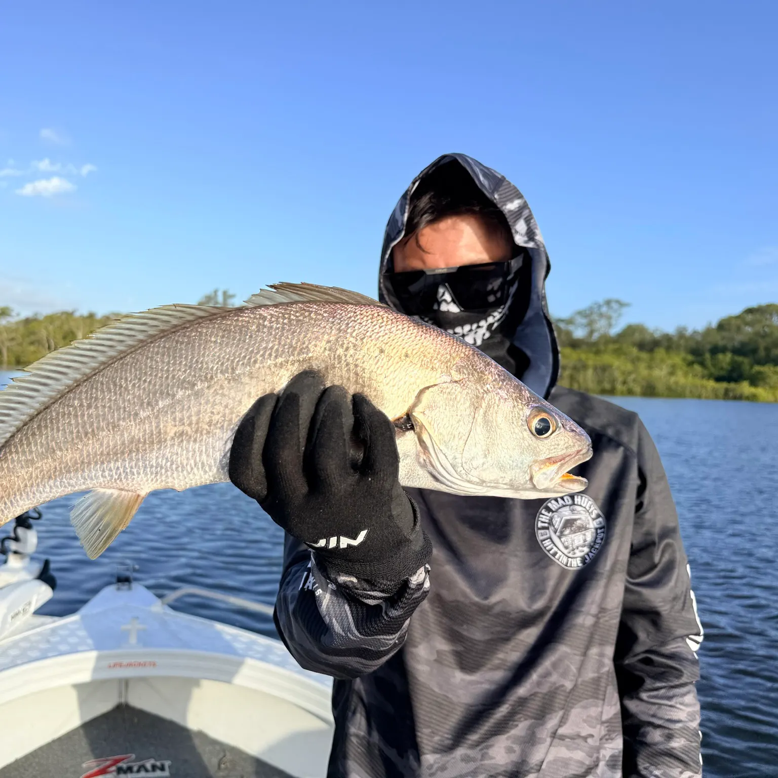 The most recent Japanese meagre catches on Fishbrain