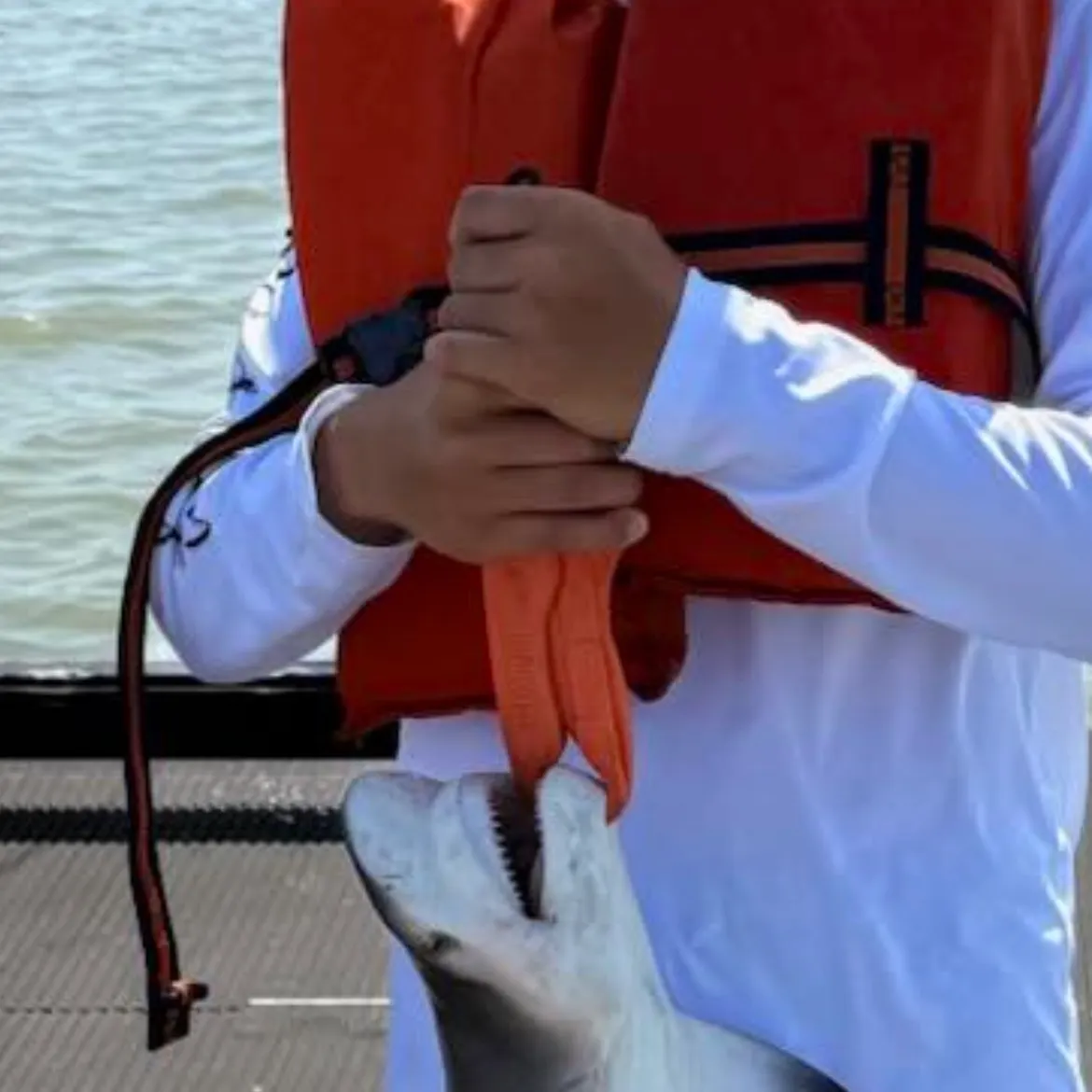 The most recent Atlantic bluefin tuna catches on Fishbrain