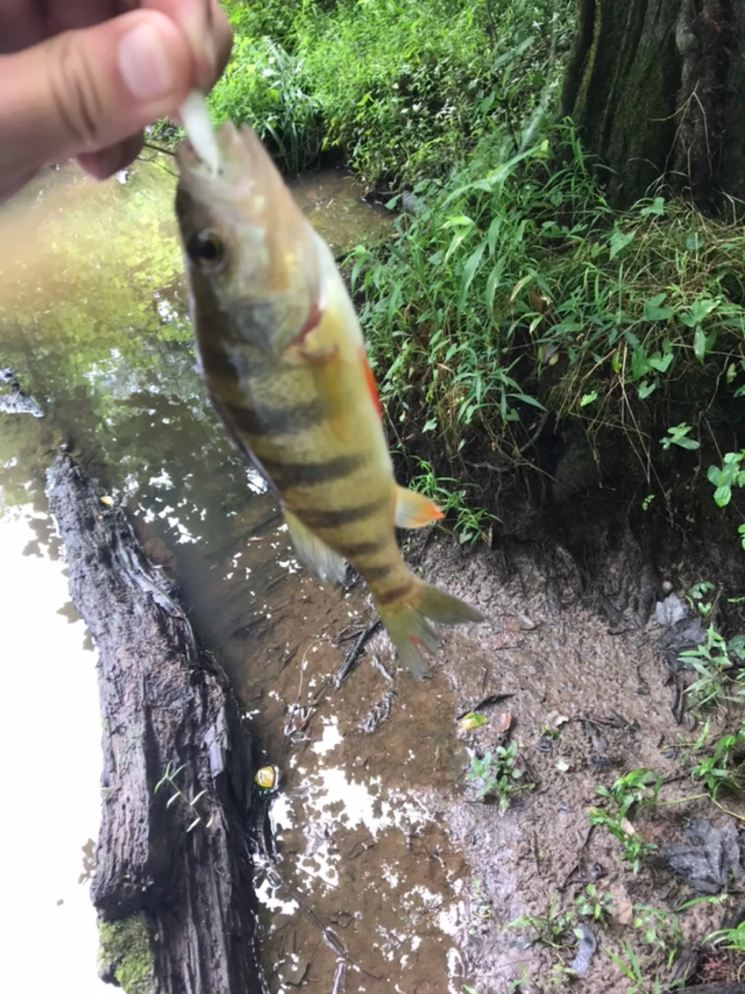 Post image from matt.andrews