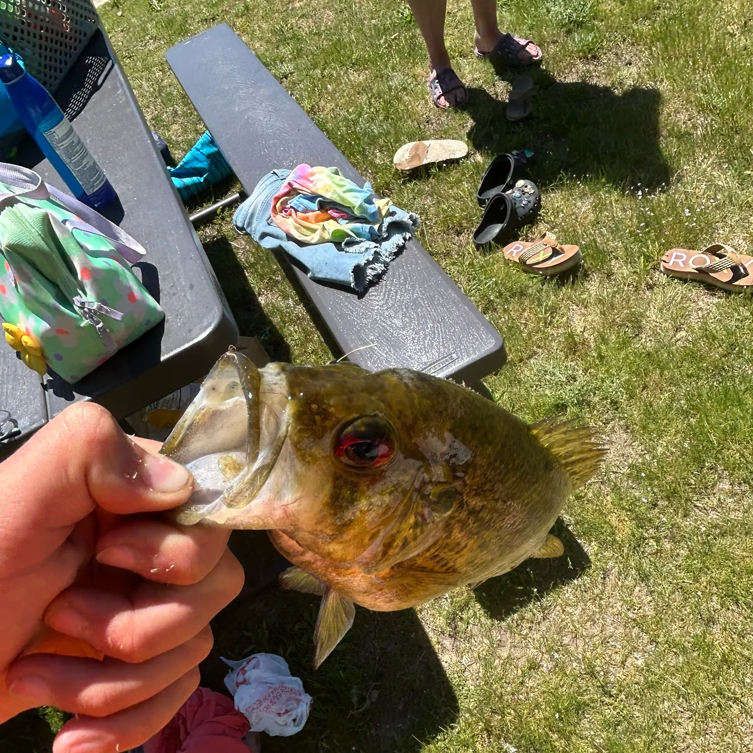 catch