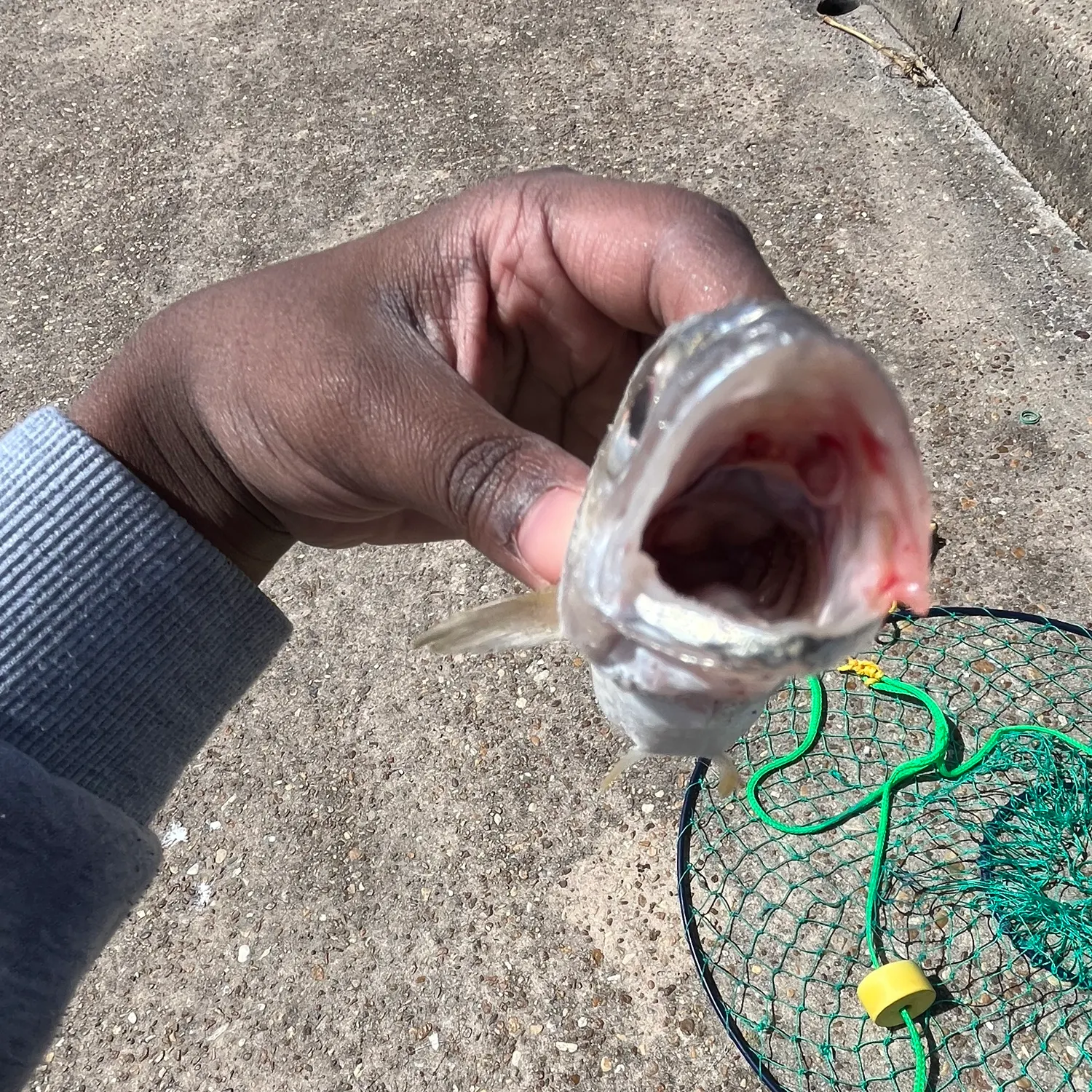 catch