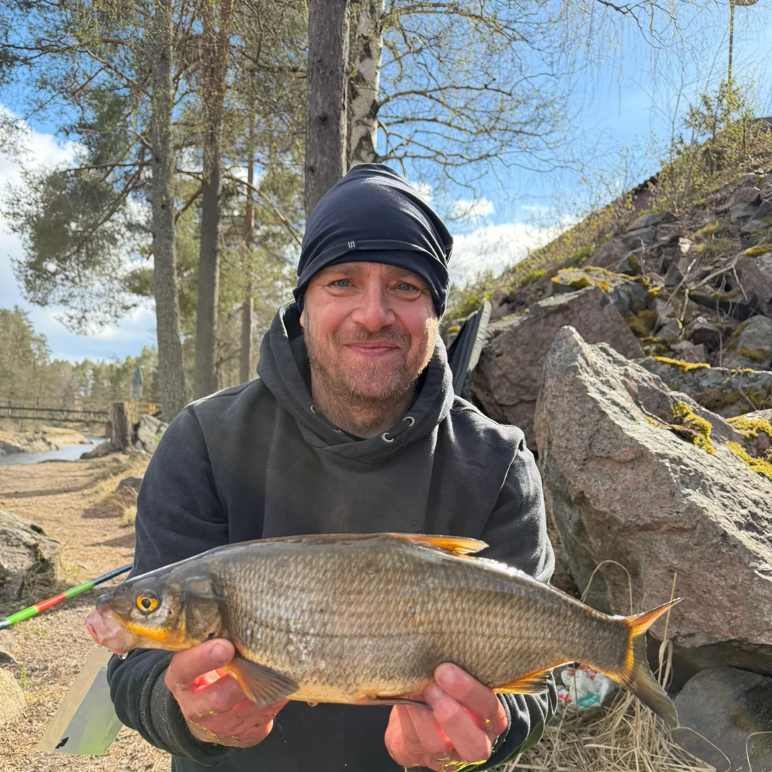 The most recent Vimba bream catches on Fishbrain