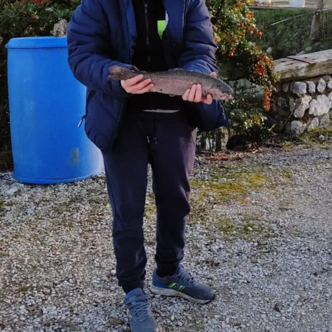Rainbow trout caught on Fishbrain