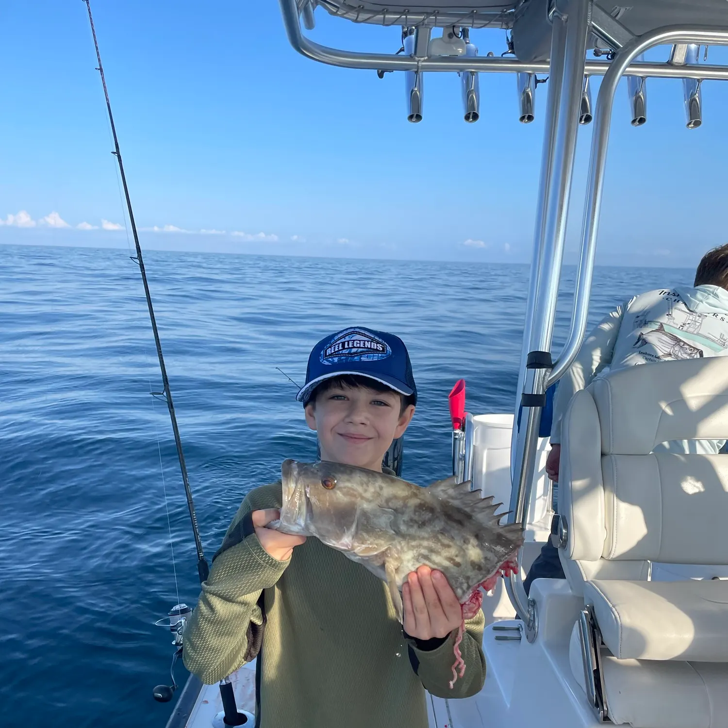 The most recent Scamp grouper catches on Fishbrain