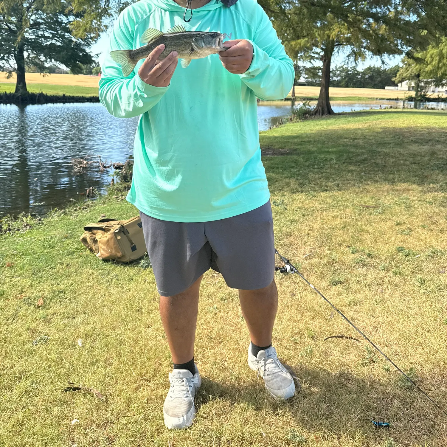 Spotted bass caught on Fishbrain
