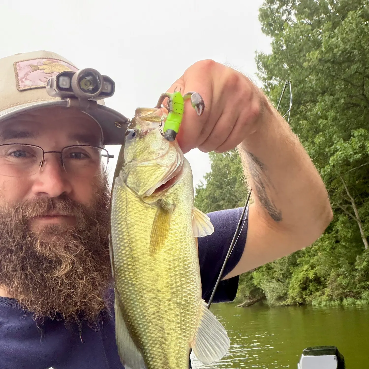 Largemouth bass caught on Fishbrain