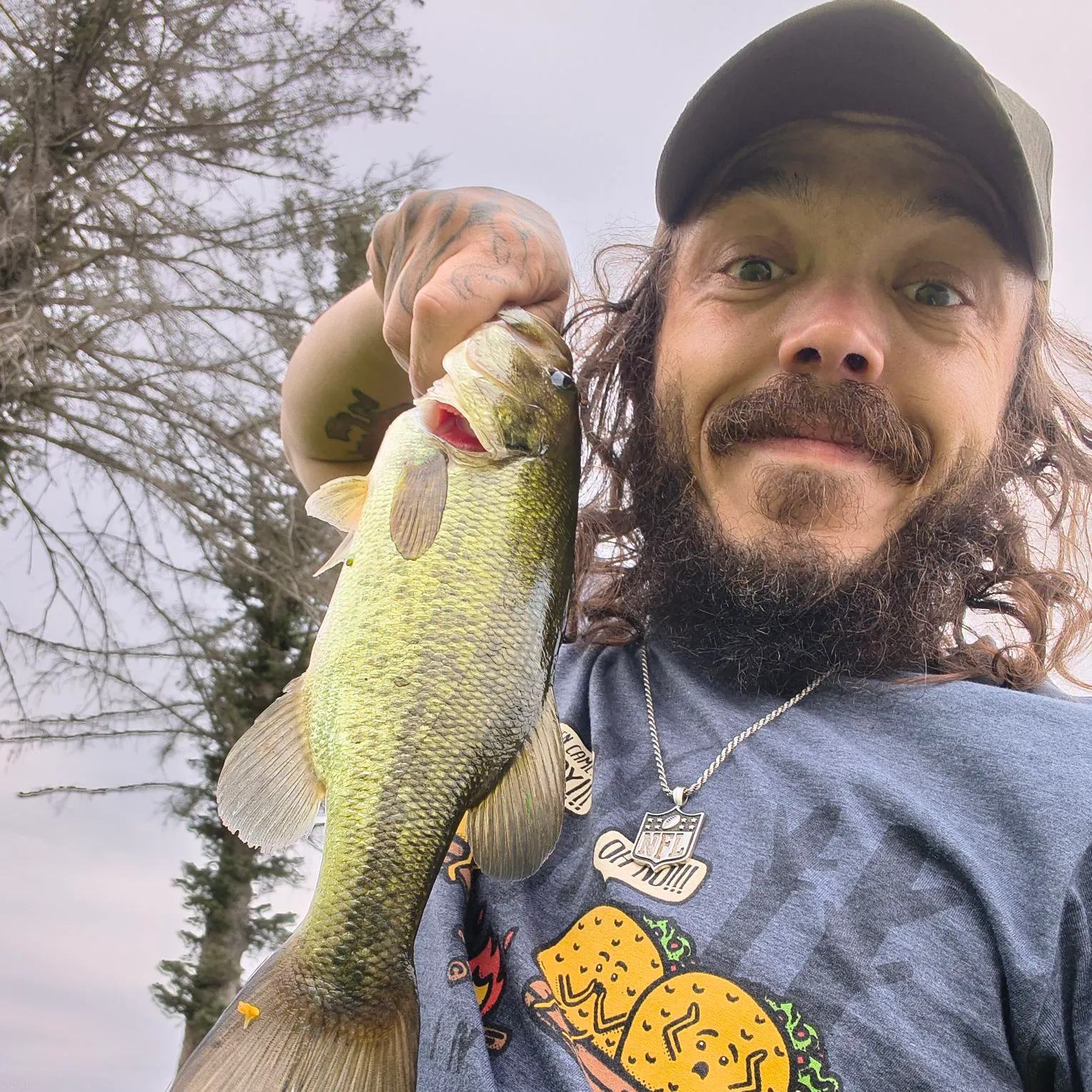 Largemouth bass caught on Fishbrain
