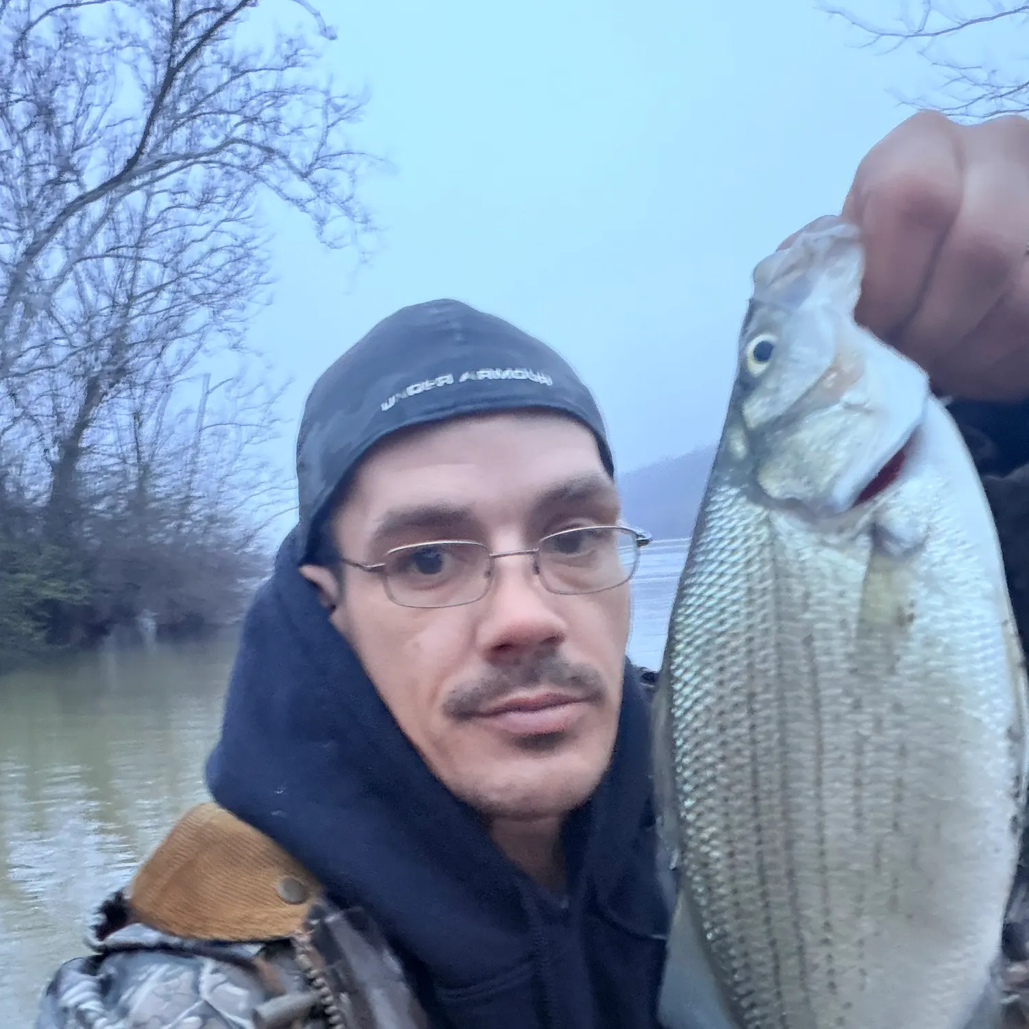 The most recent White bass catches on Fishbrain