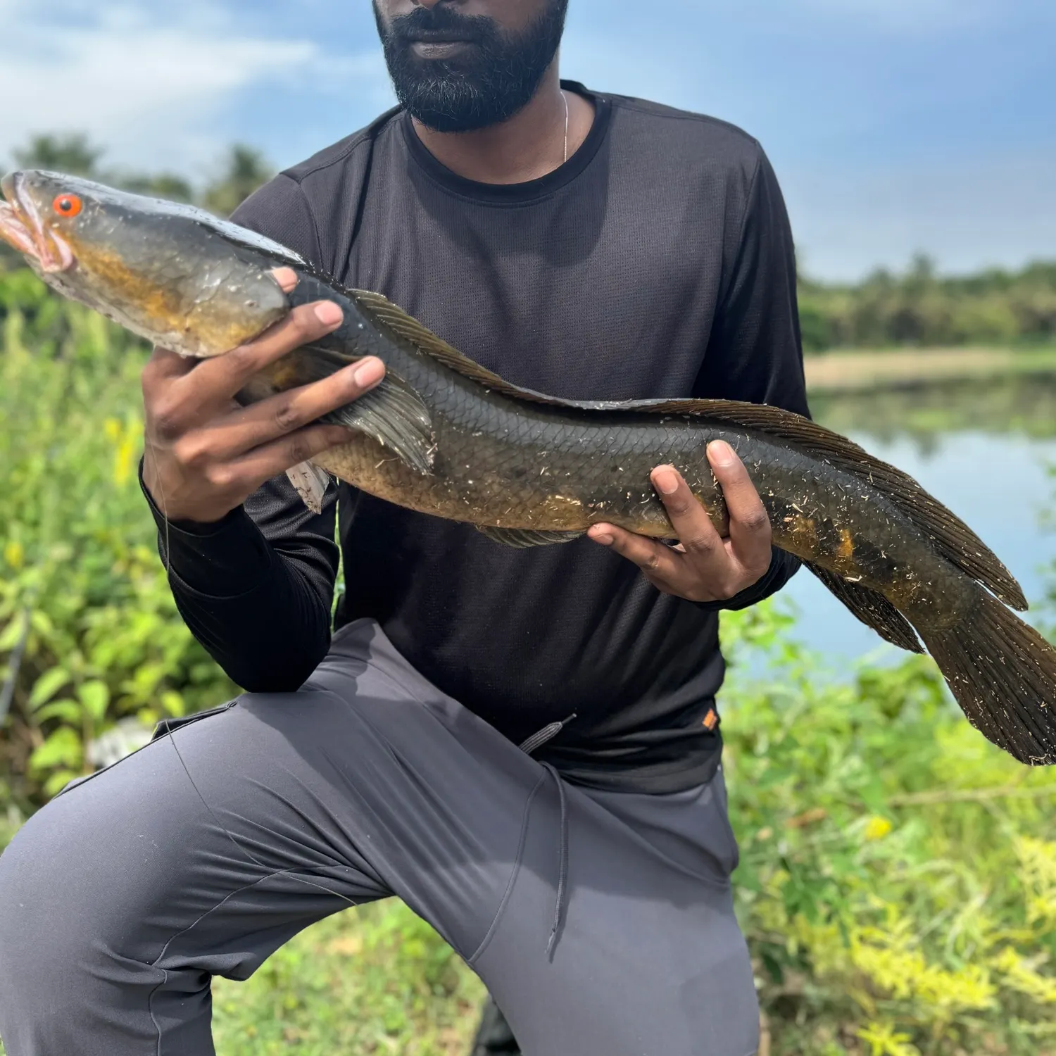 The most recent Bullseye snakehead catches on Fishbrain