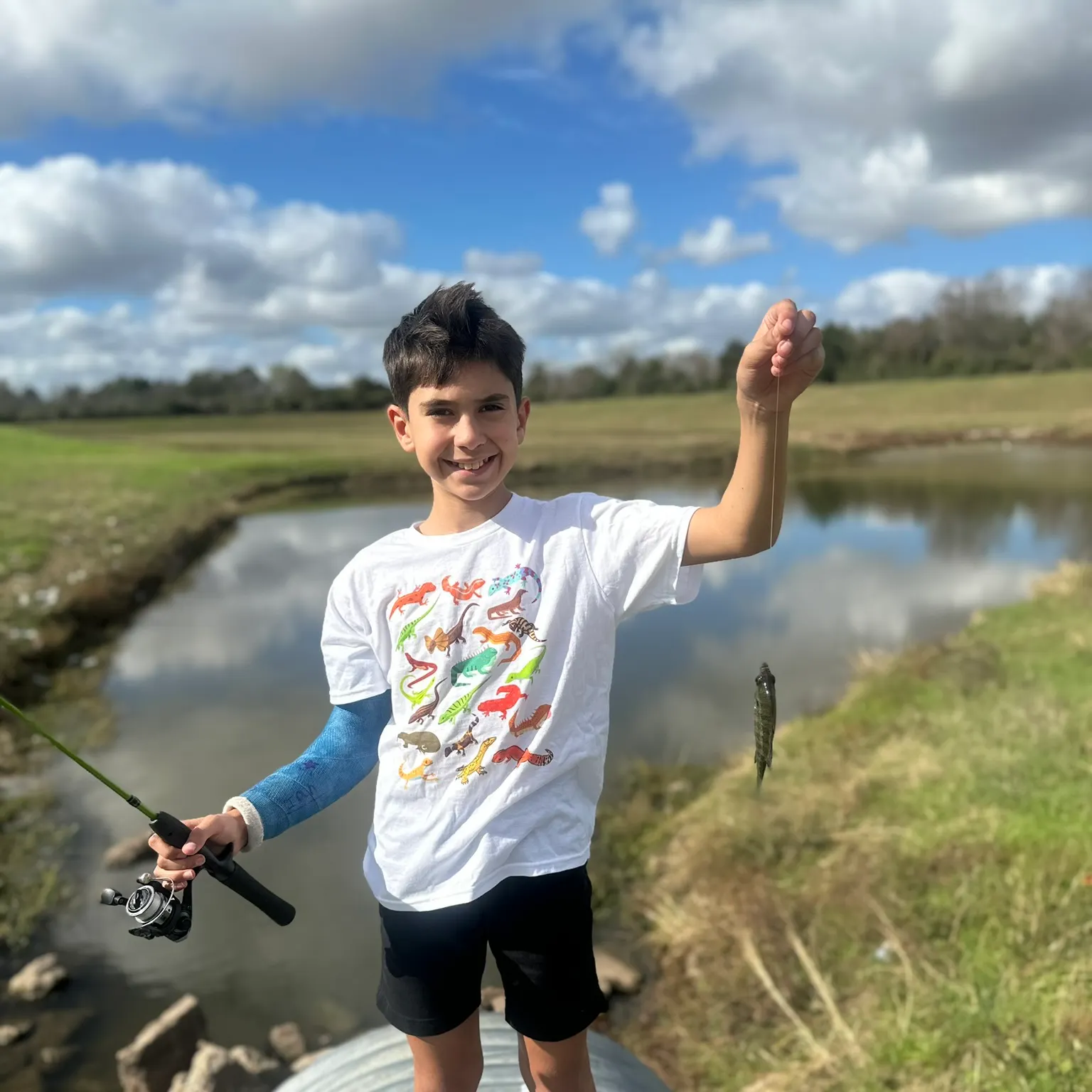 The most recent Gafftopsail sea catfish catches on Fishbrain