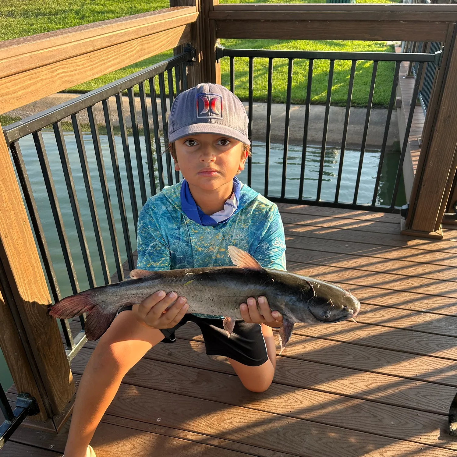 Channel catfish caught on Fishbrain