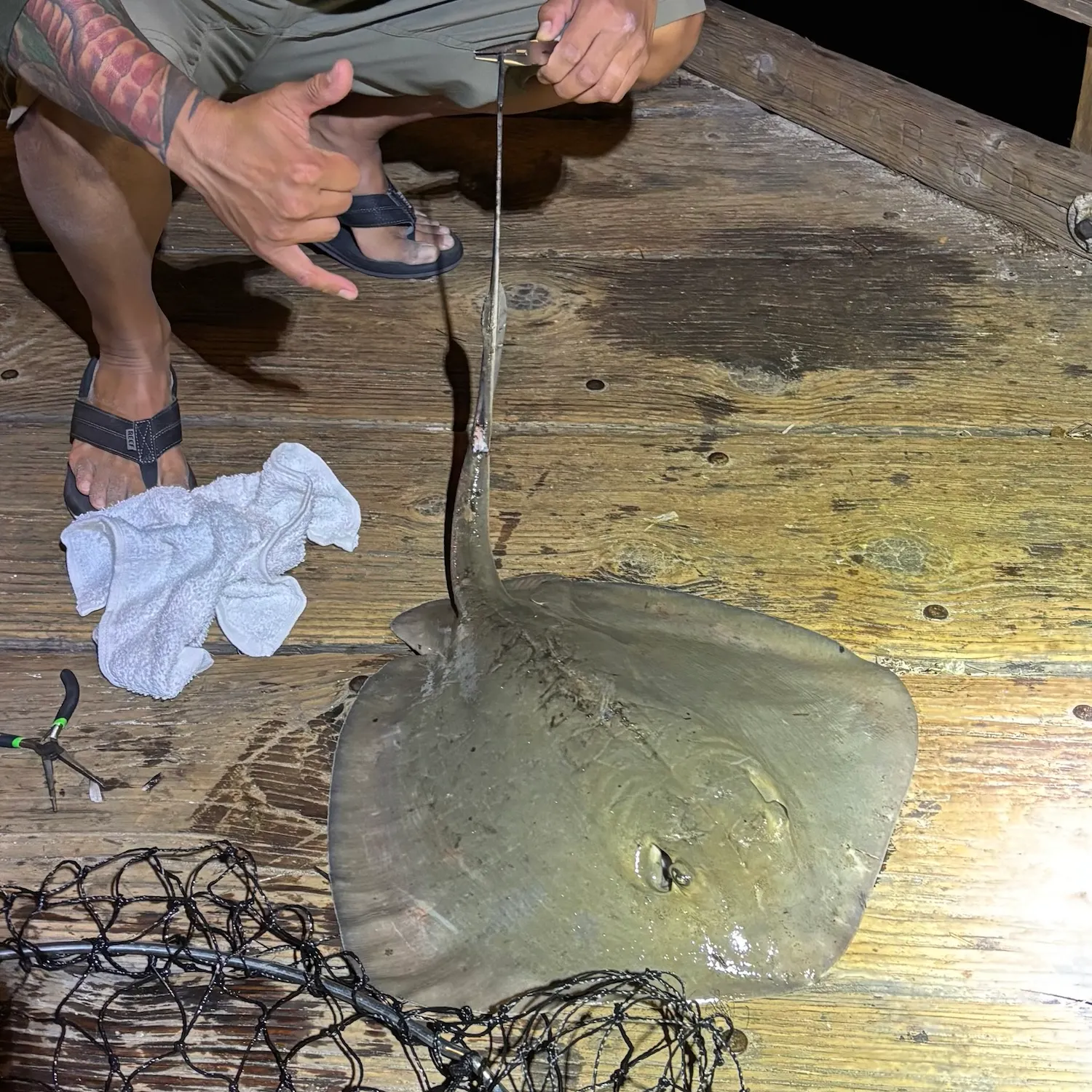 recently logged catches