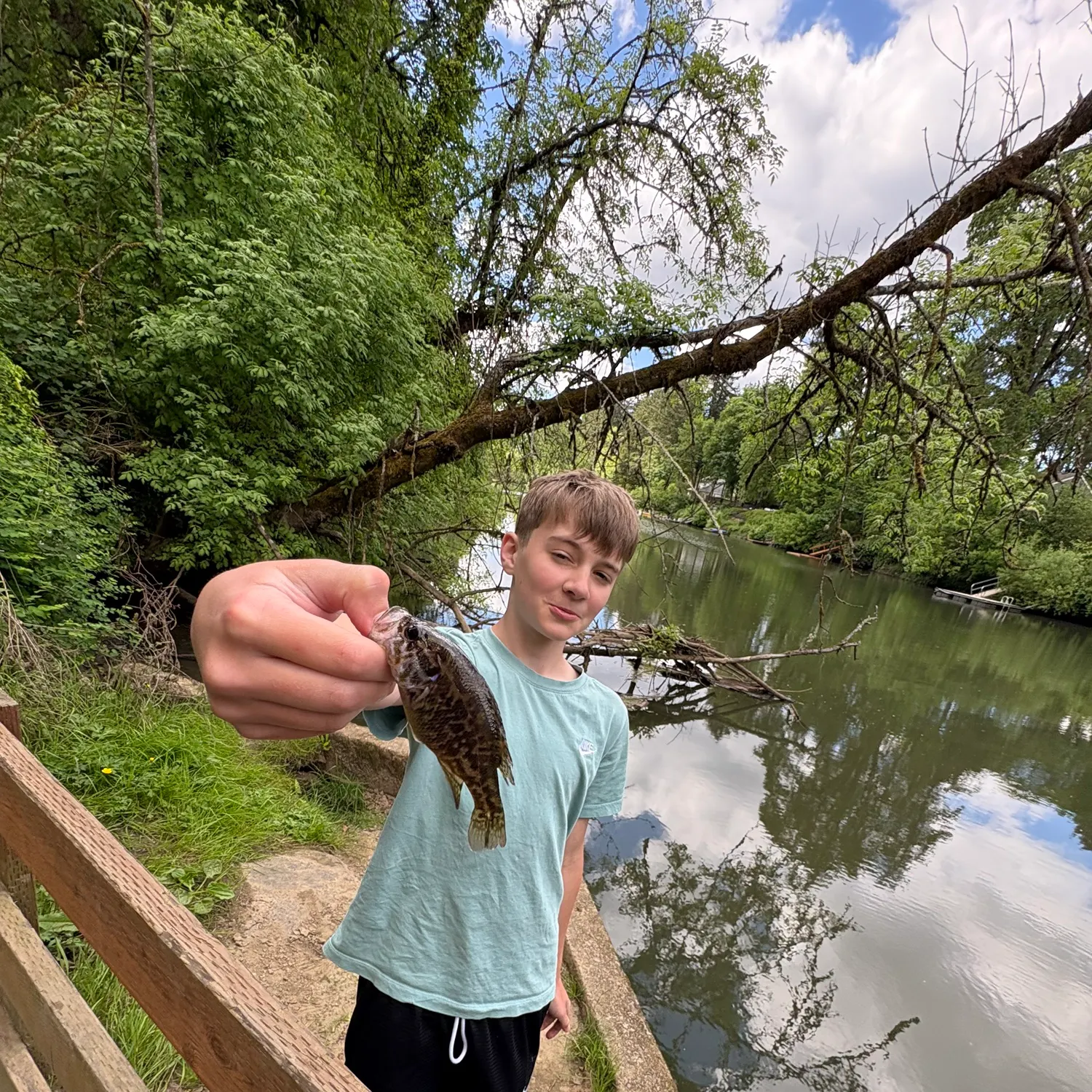 catch
