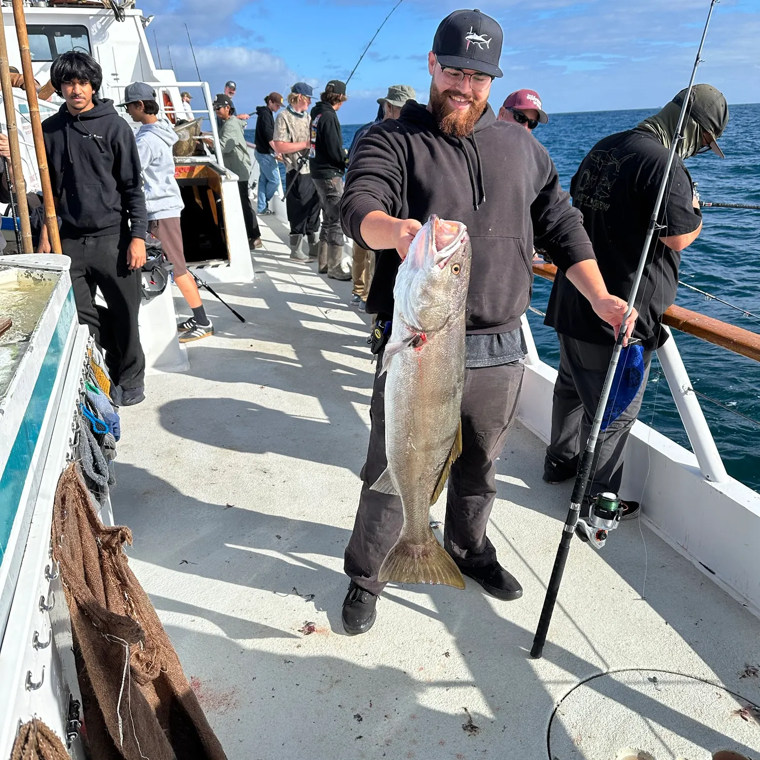 The most recent White seabass catches on Fishbrain