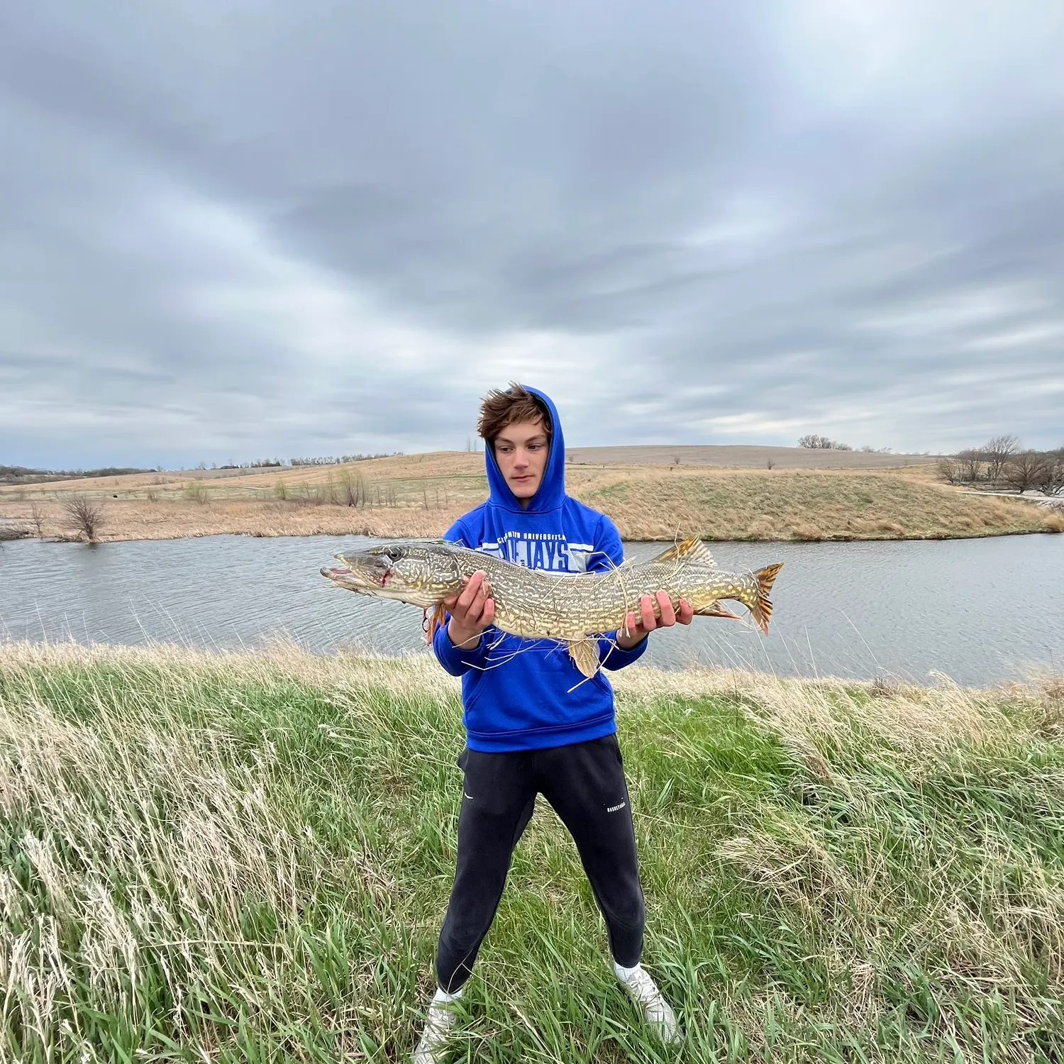 angler catch