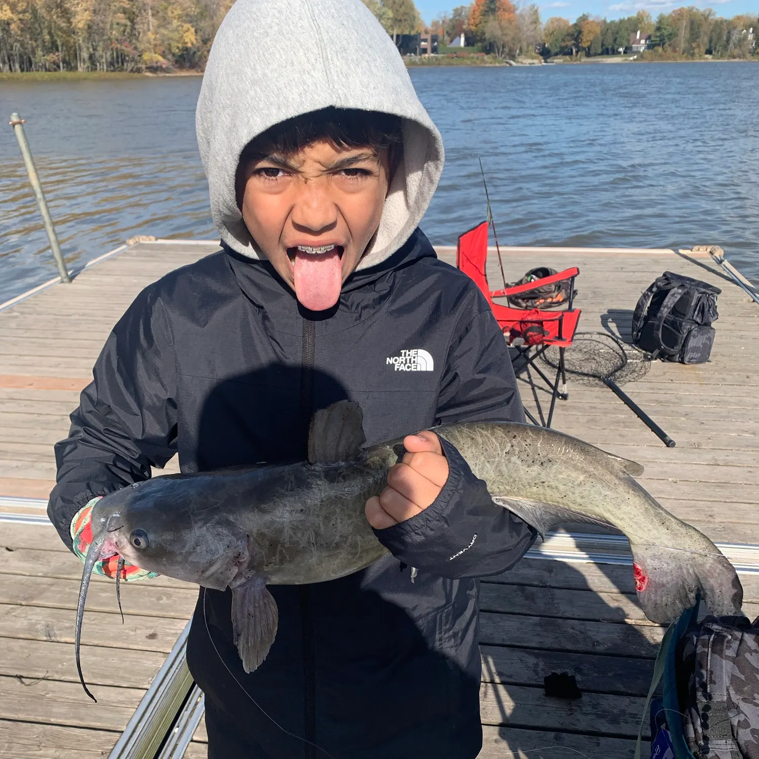 Channel catfish caught on Fishbrain