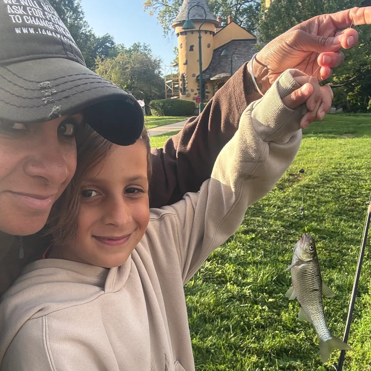 Common shiner caught on Fishbrain