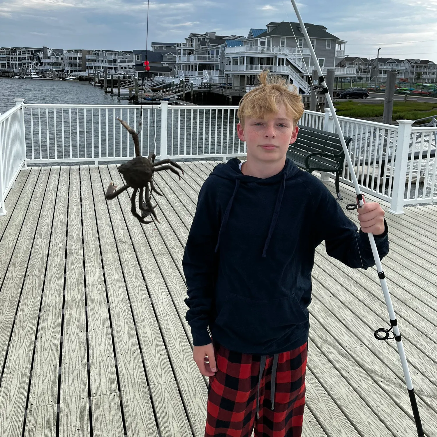 The most recent European spider crab catches on Fishbrain