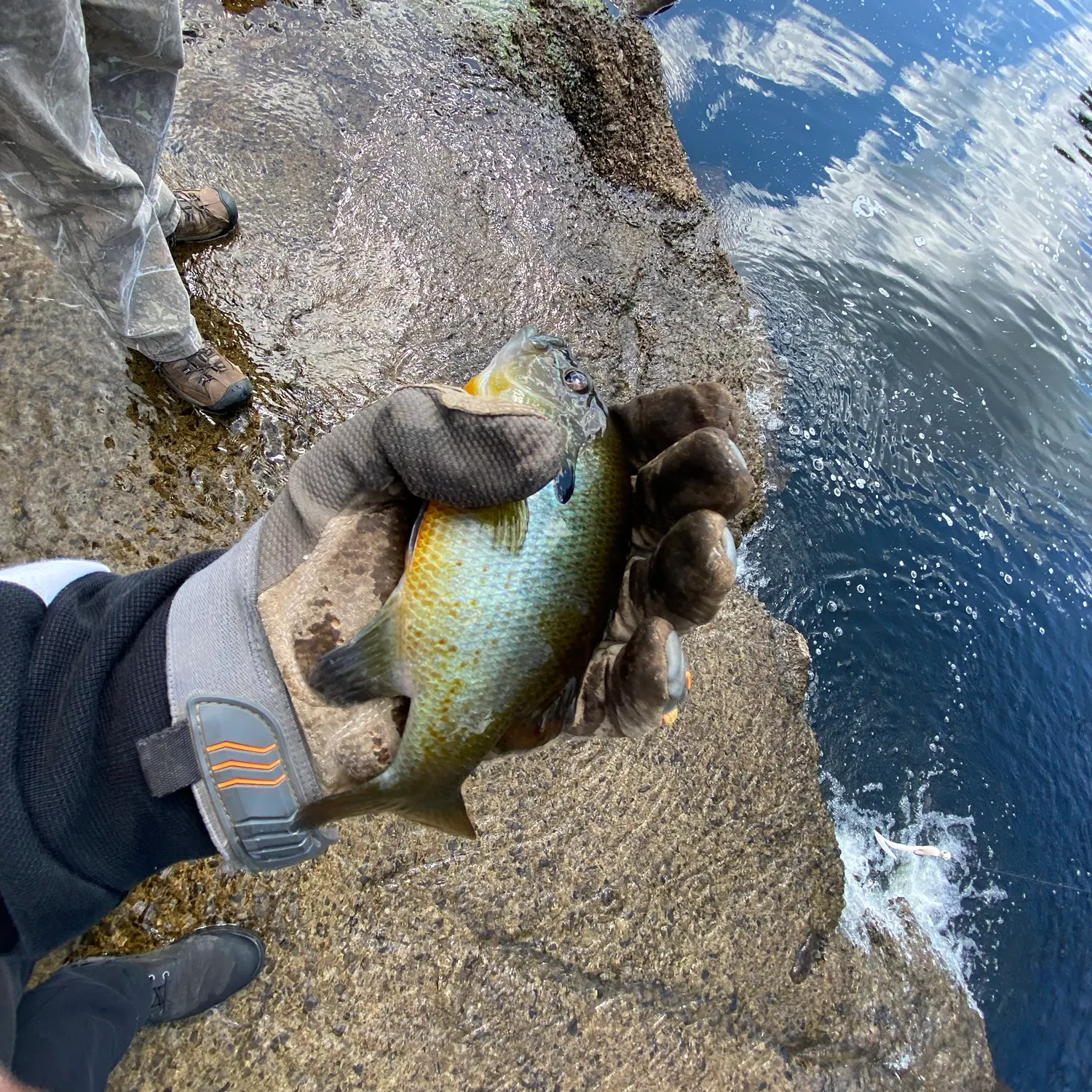 catch
