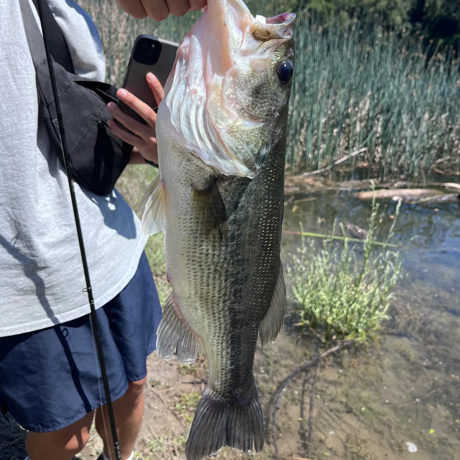 angler catch