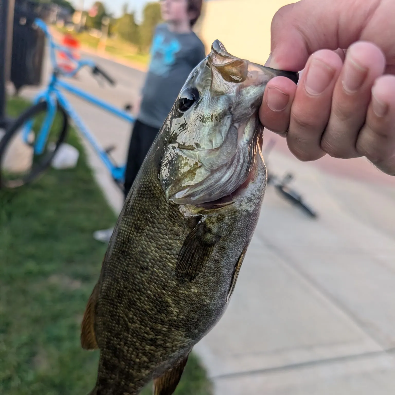 catch