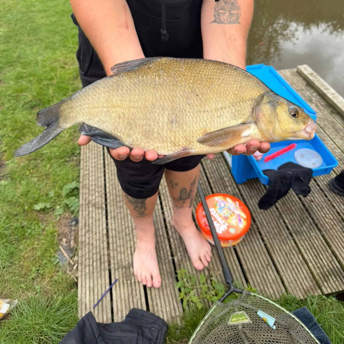 Common bream caught on Fishbrain
