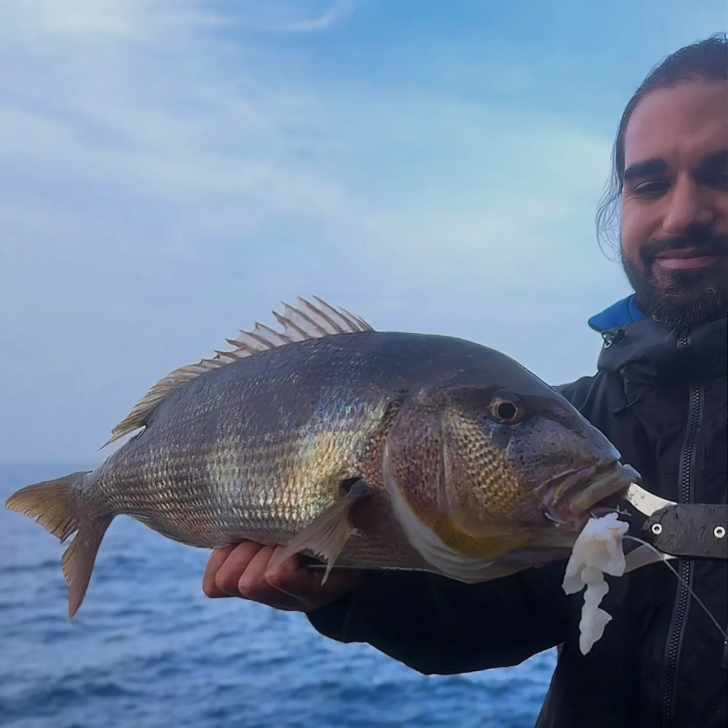 The most recent Common dentex catches on Fishbrain