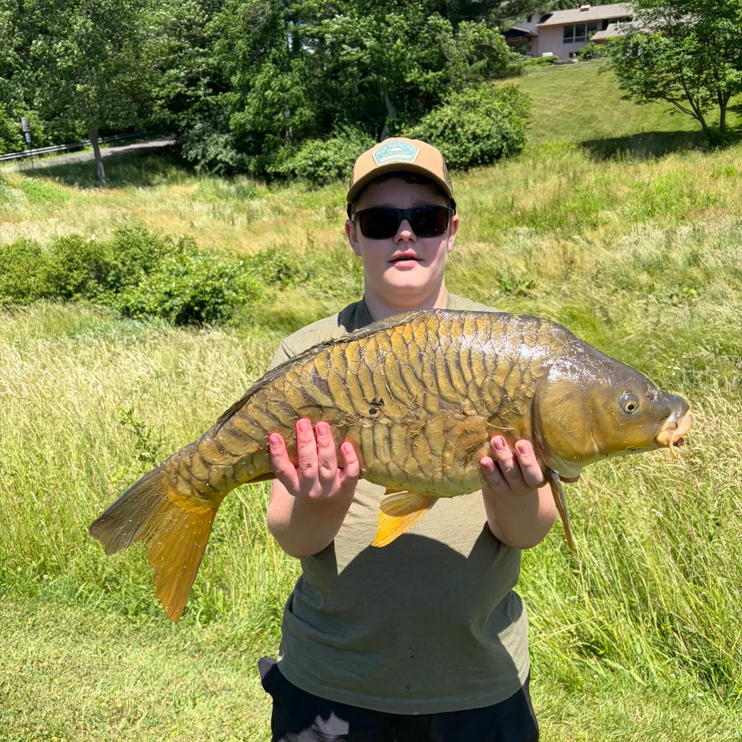 The most recent Mirror carp catches on Fishbrain
