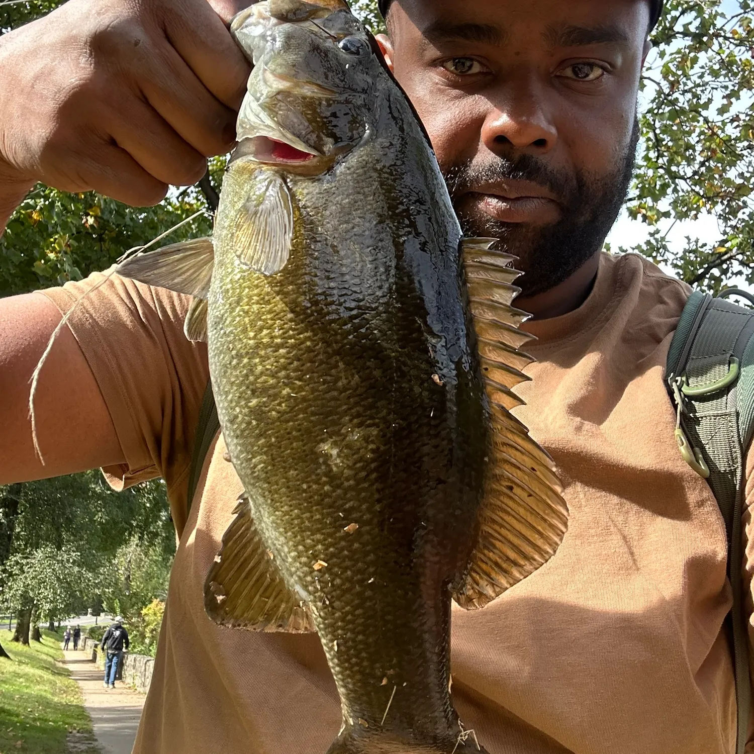 Smallmouth bass caught on Fishbrain