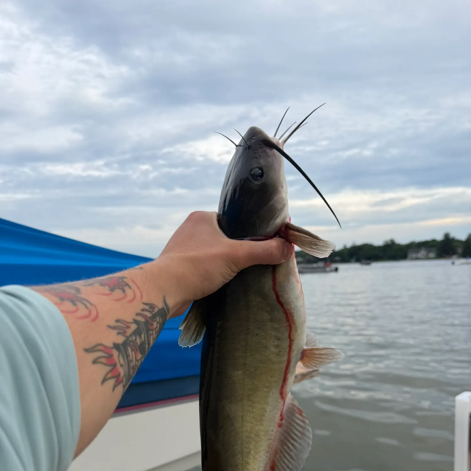 catch