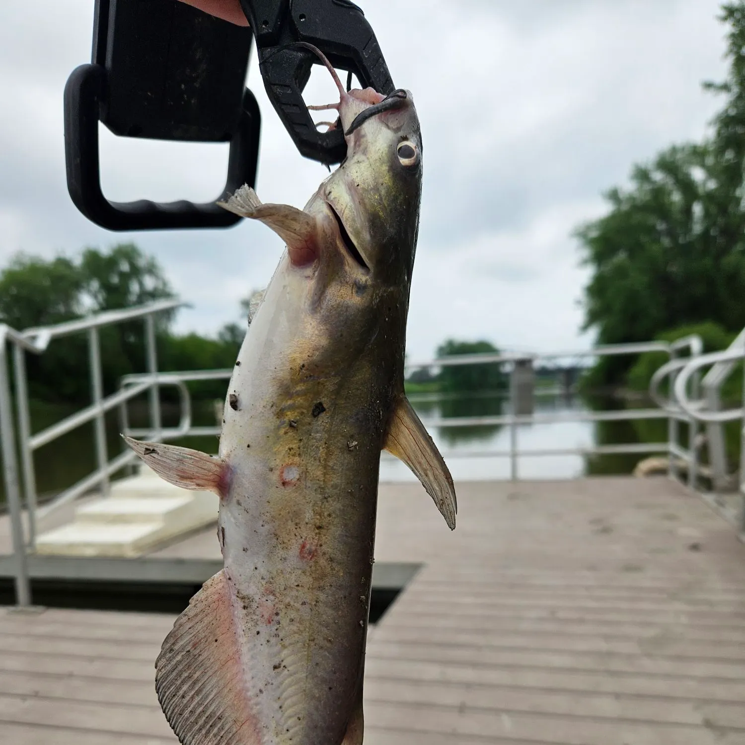 catch