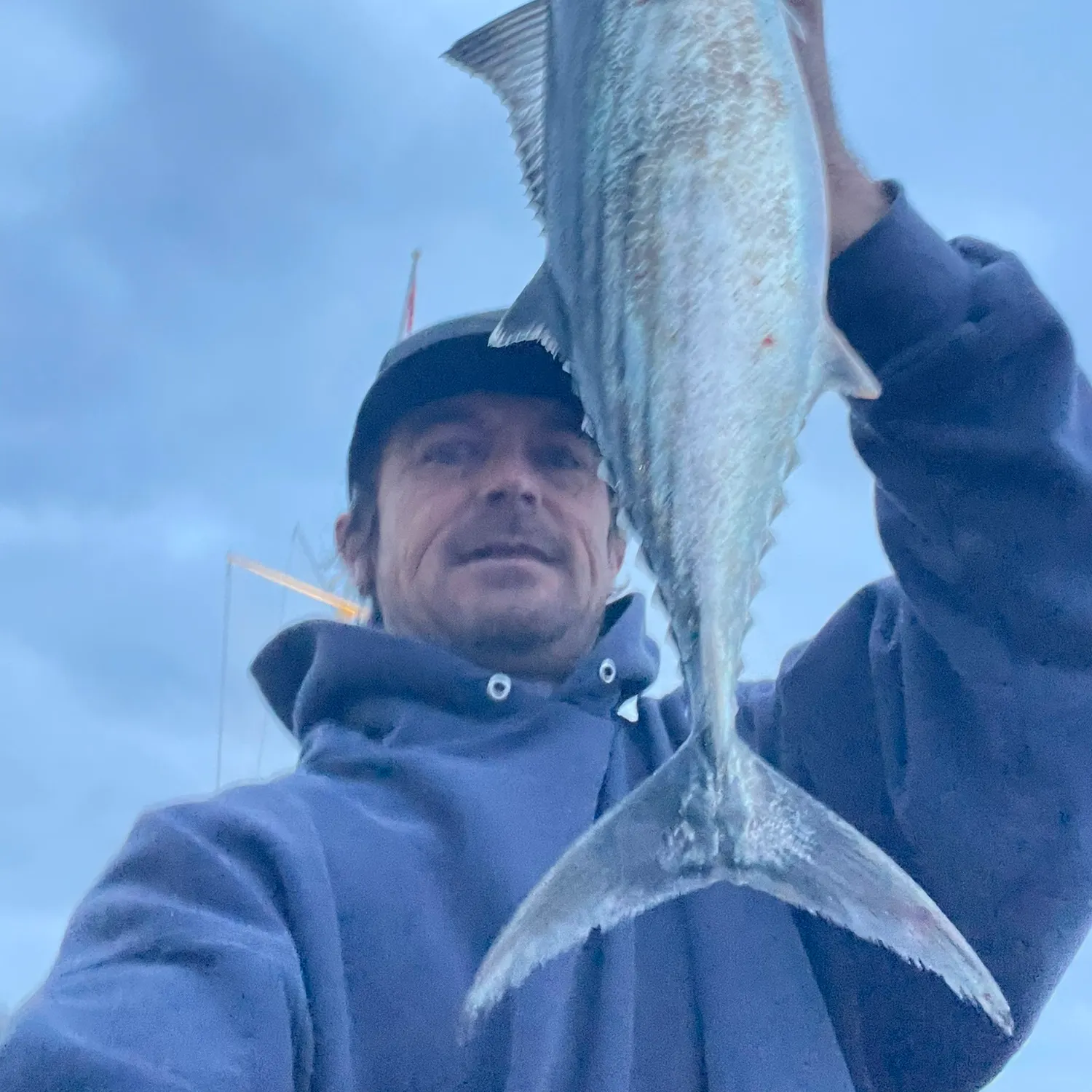 The most recent Pacific bonito catches on Fishbrain
