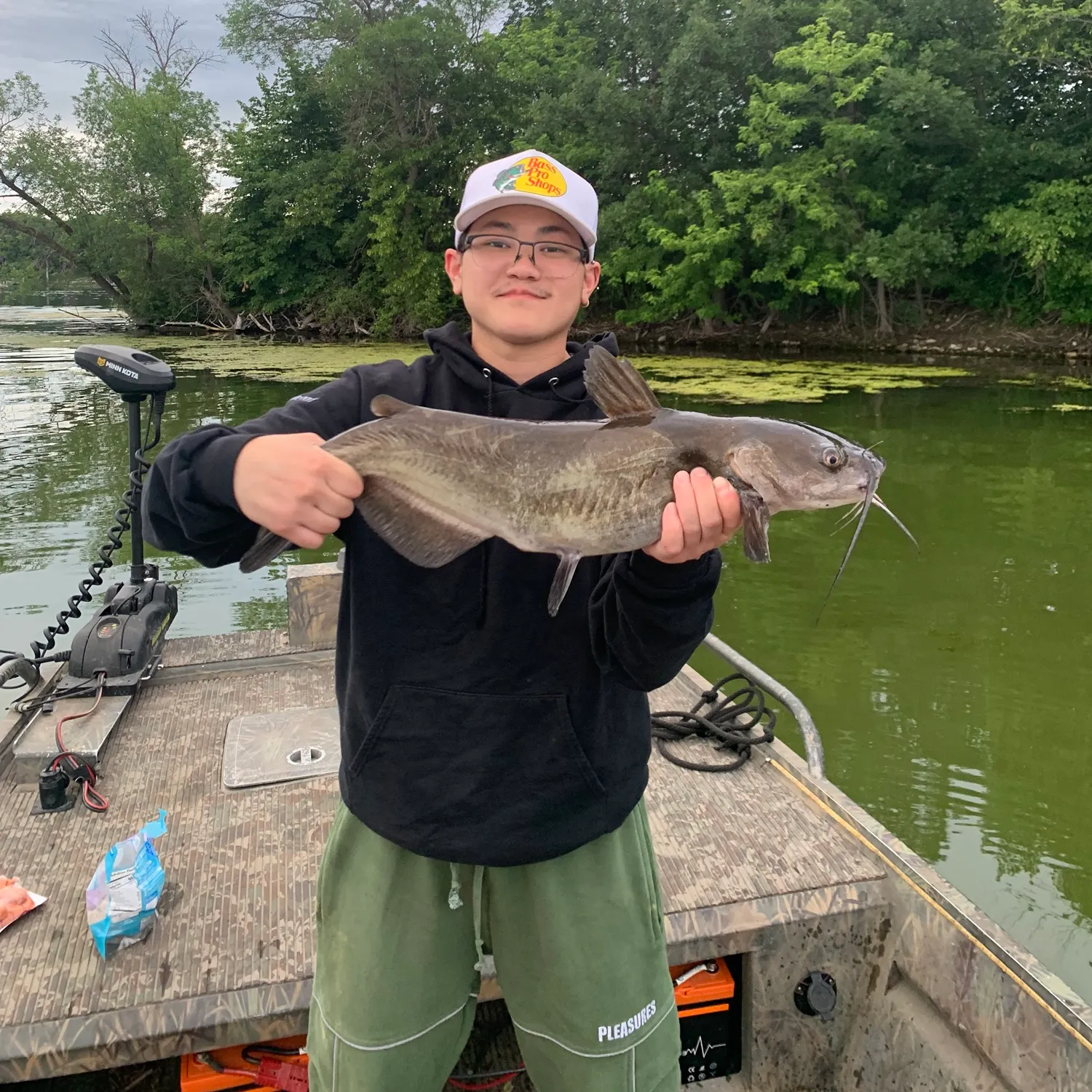 recently logged catches