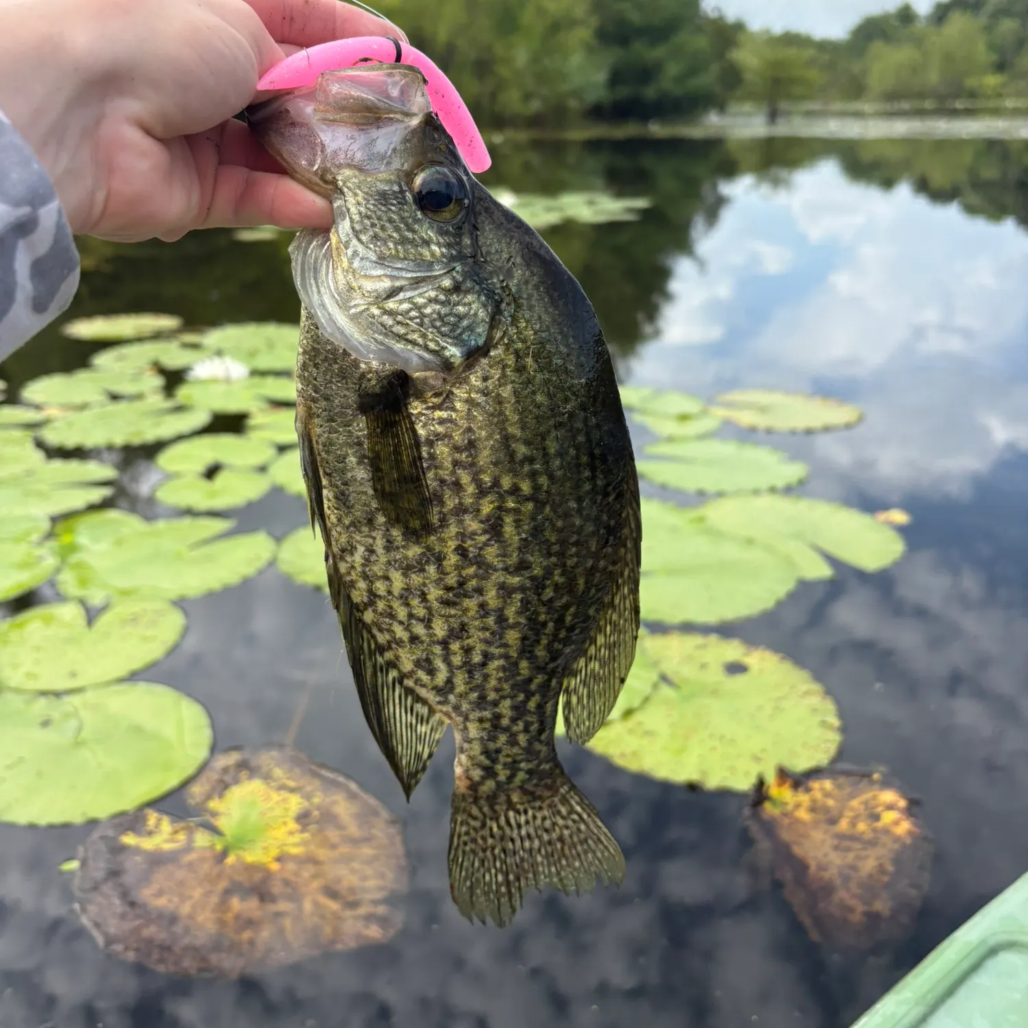 expandable rubber fishing net Facikono Large Heavy Duty Extra Large Landing Net for Saltwater Aluminum Fishing Net Telescoping Handle with 6pcs Soft Jig Swimbait, Extends to 72-94in : Sports & Outdoors FB-0.6 resistant nylon Greenlee FP24 Collapsible 24' Color:Wicked Perch Slow Sink