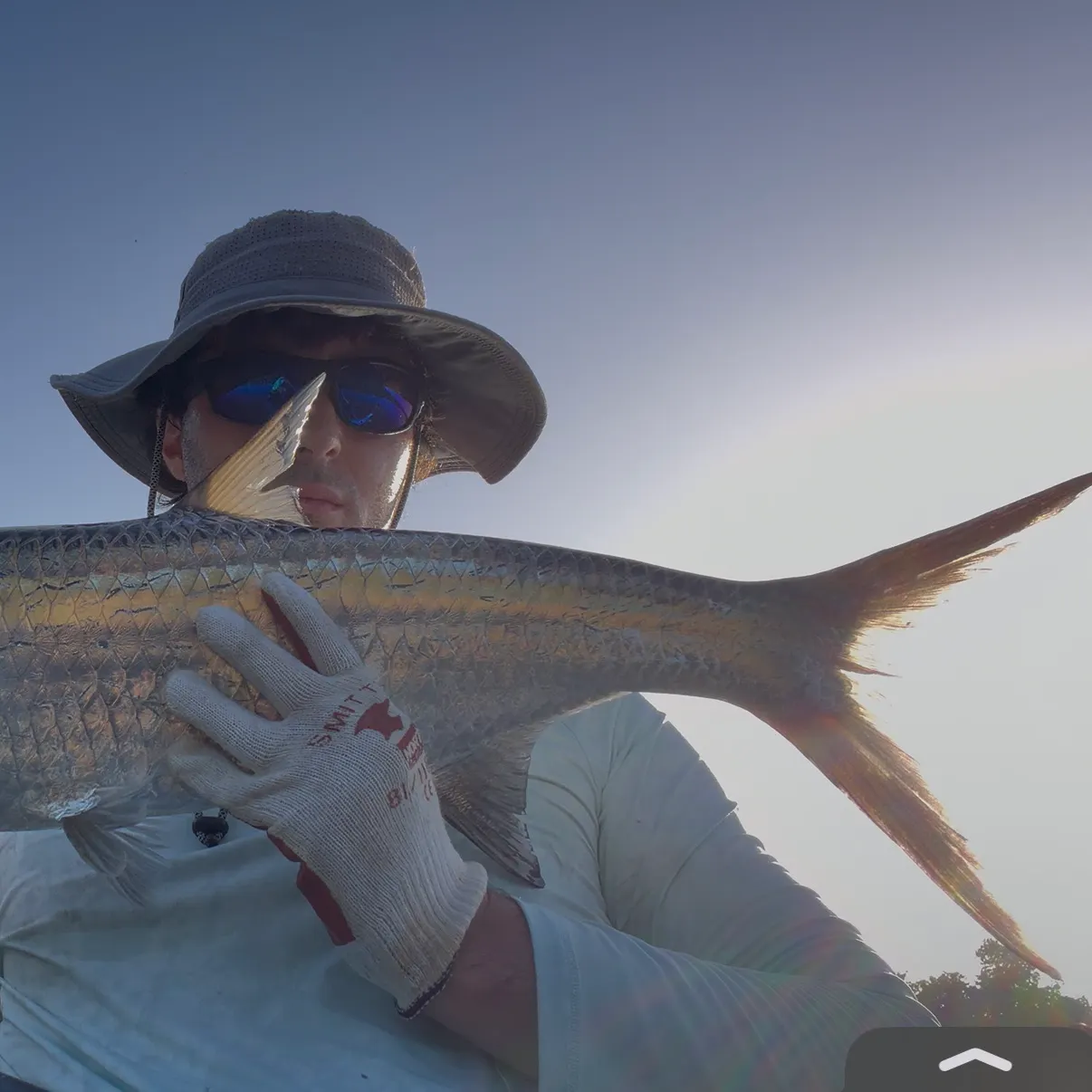 Tarpon caught on Fishbrain