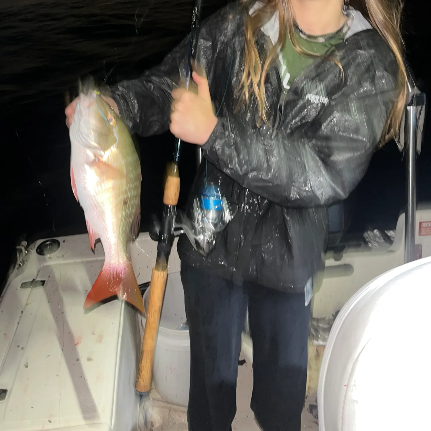 The most recent Mutton snapper catches on Fishbrain