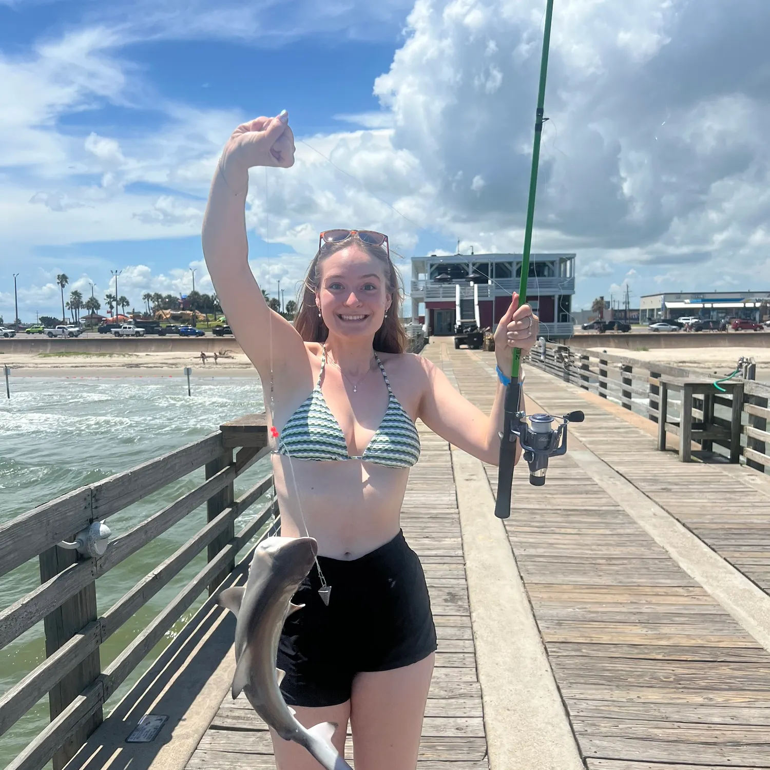 The most recent Blacktip reef shark catches on Fishbrain