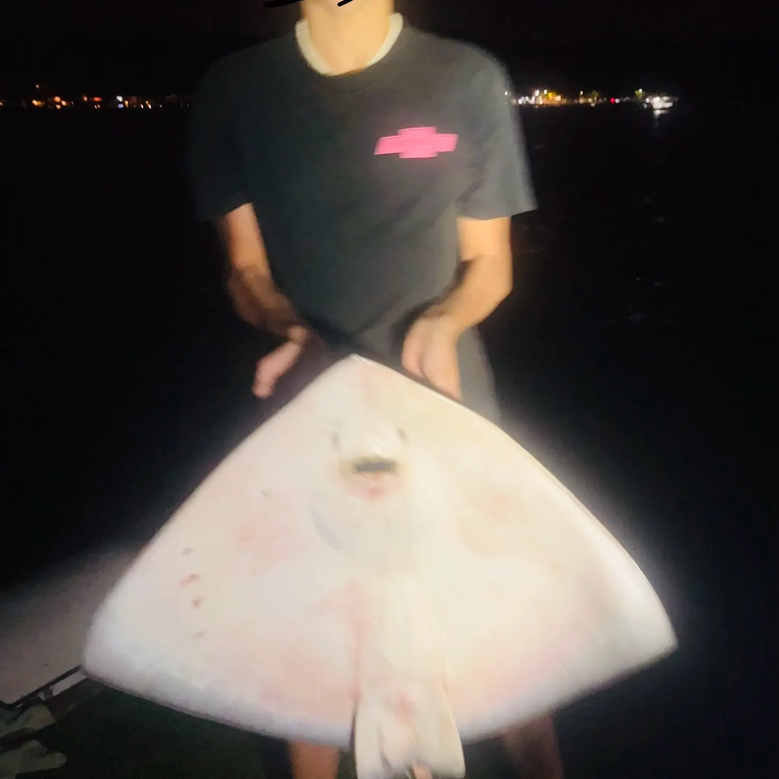 The most recent Sharpnose stingray catches on Fishbrain