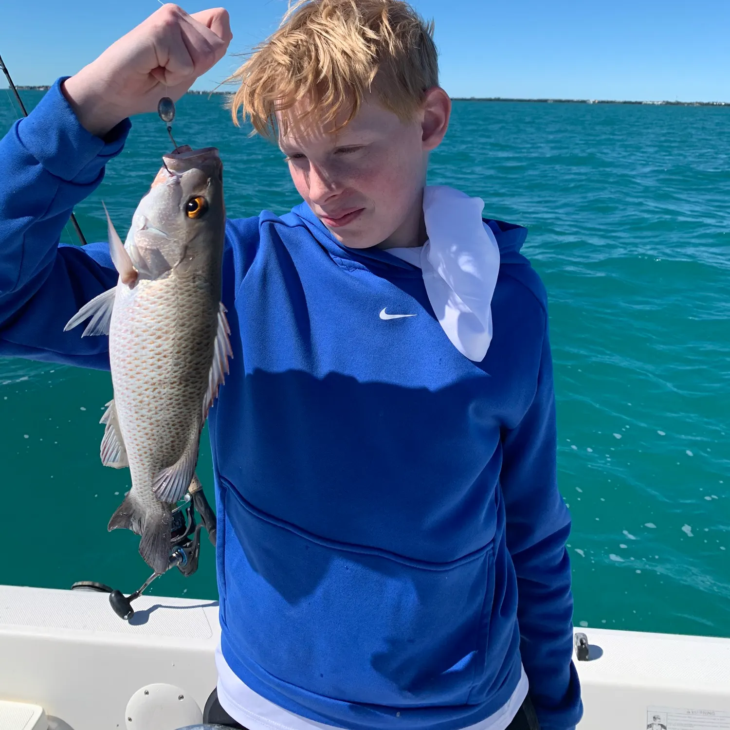 The most recent Common snook catches on Fishbrain