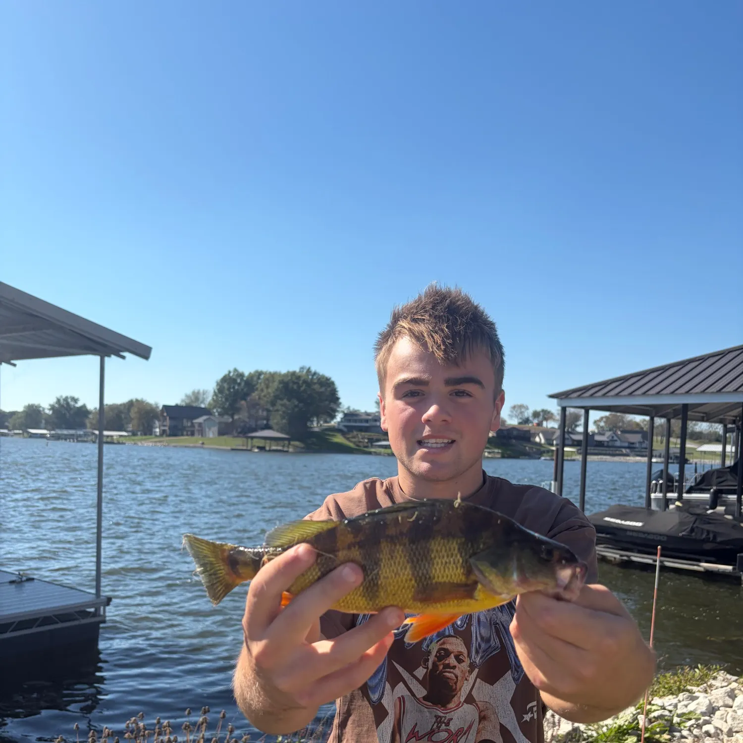 Yellow perch caught on Fishbrain