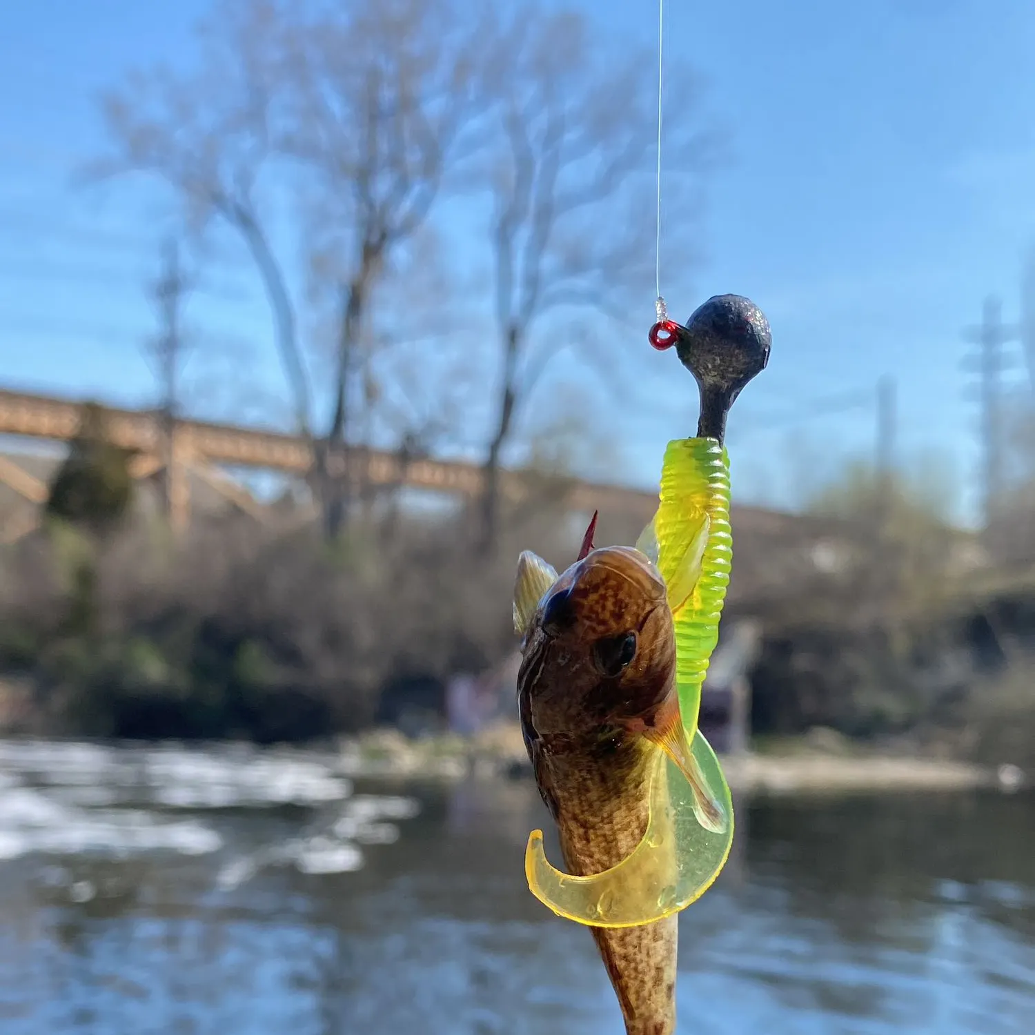 most liked catch image