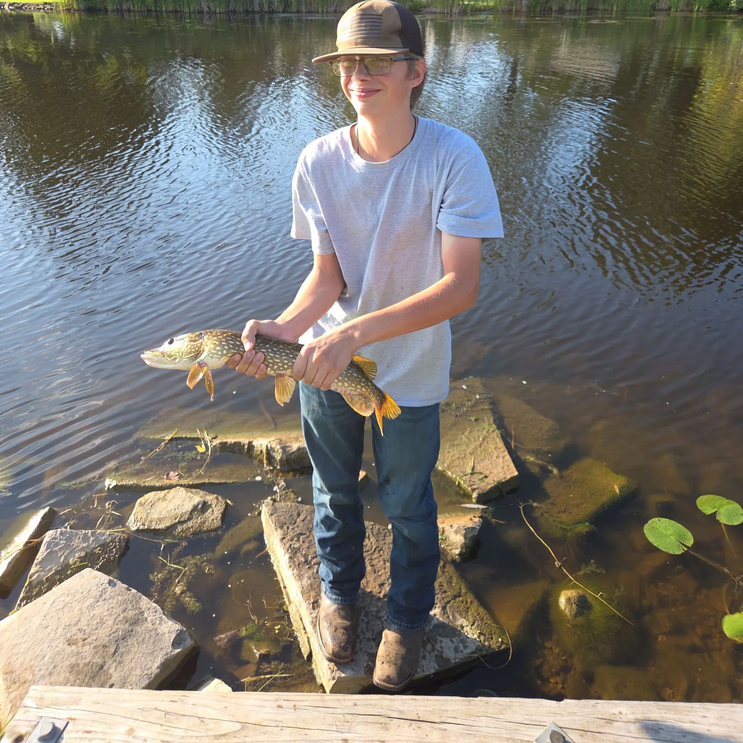 Northern pike caught on Fishbrain