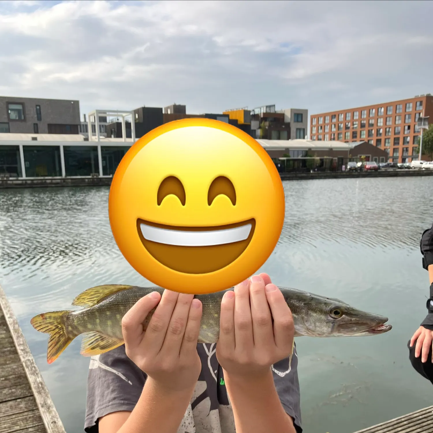 Northern pike caught on Fishbrain