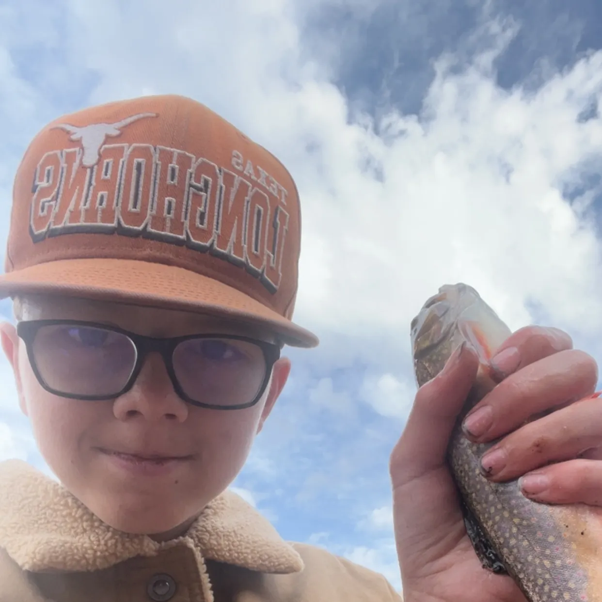 Brook trout caught on Fishbrain