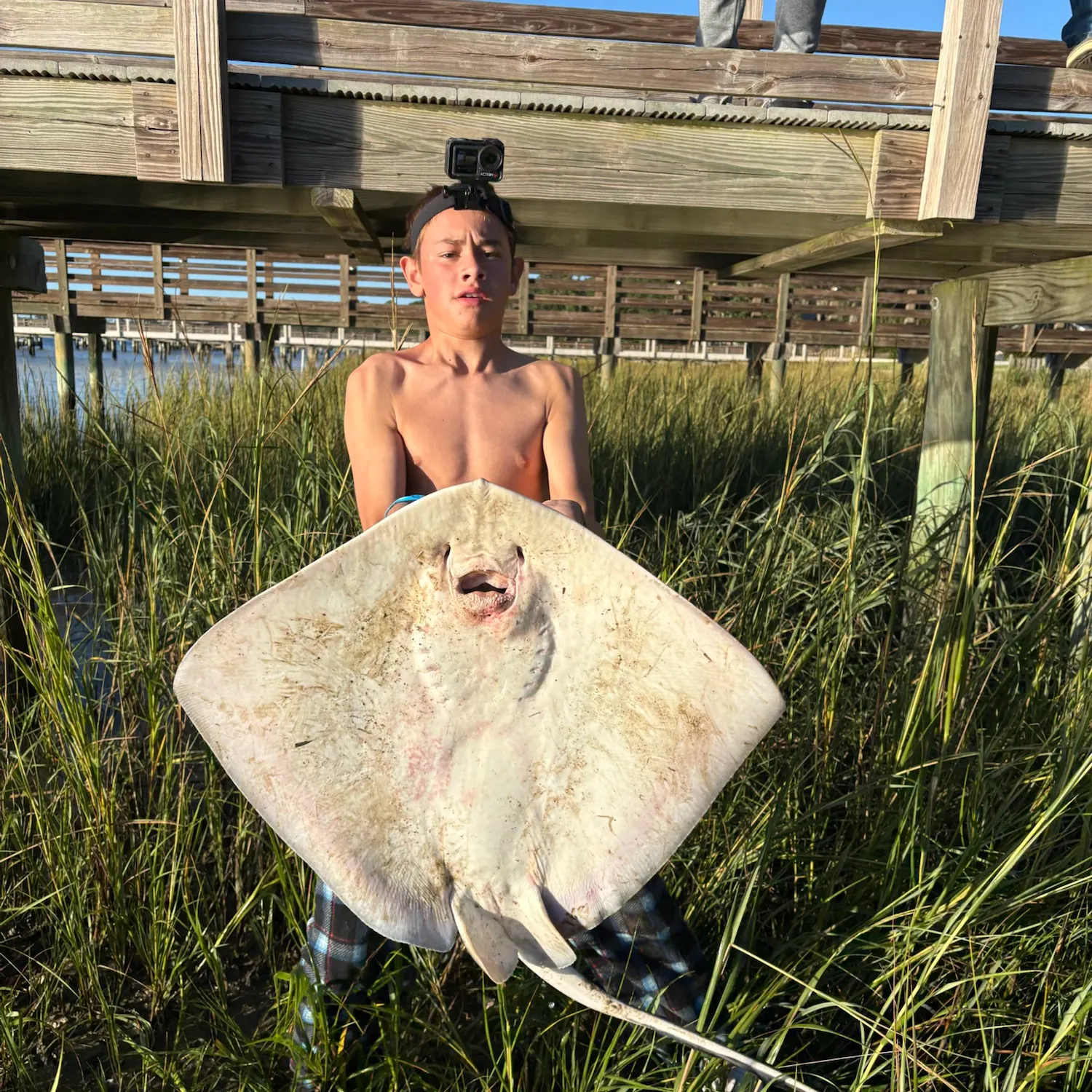 Southern stingray caught on Fishbrain