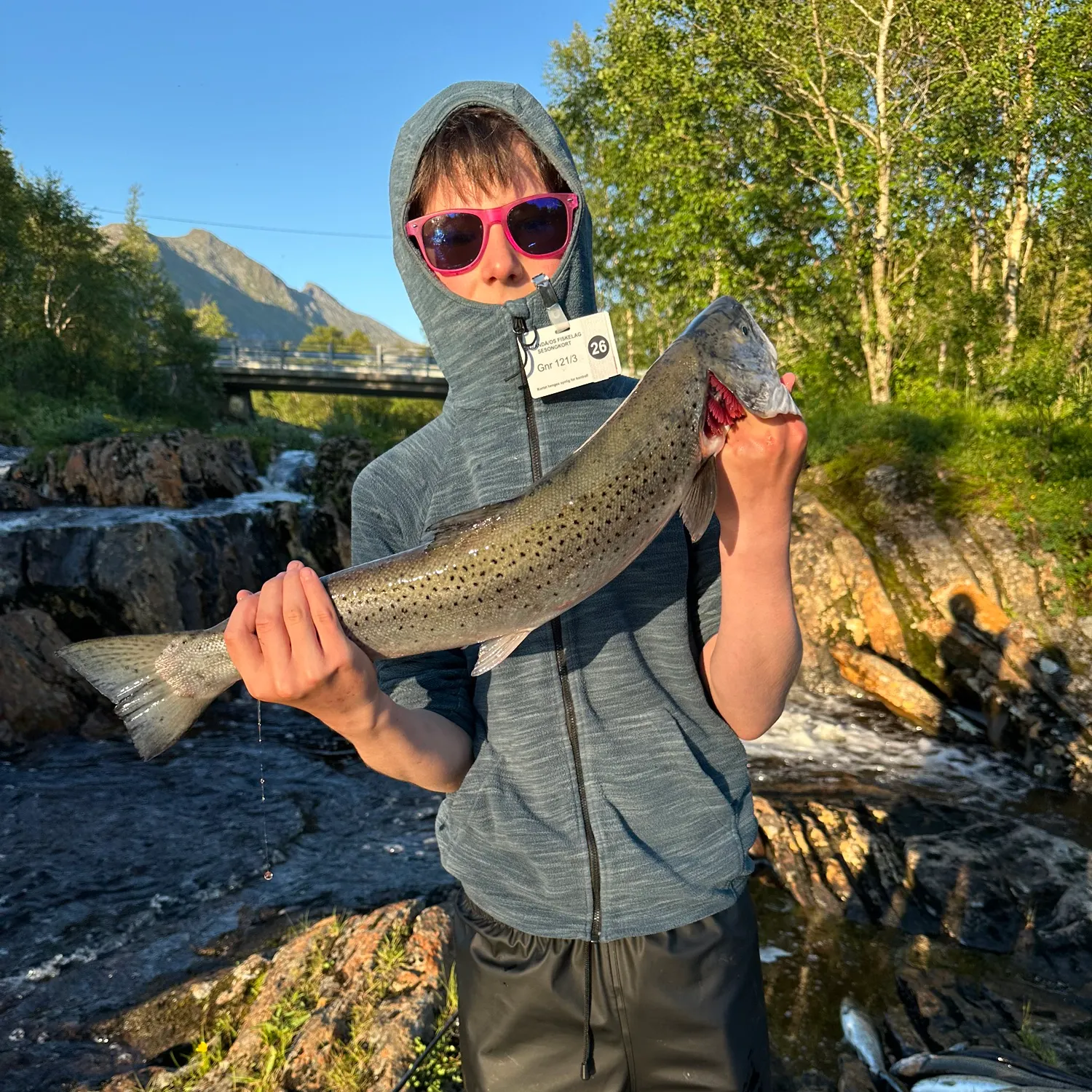 Sea trout caught on Fishbrain